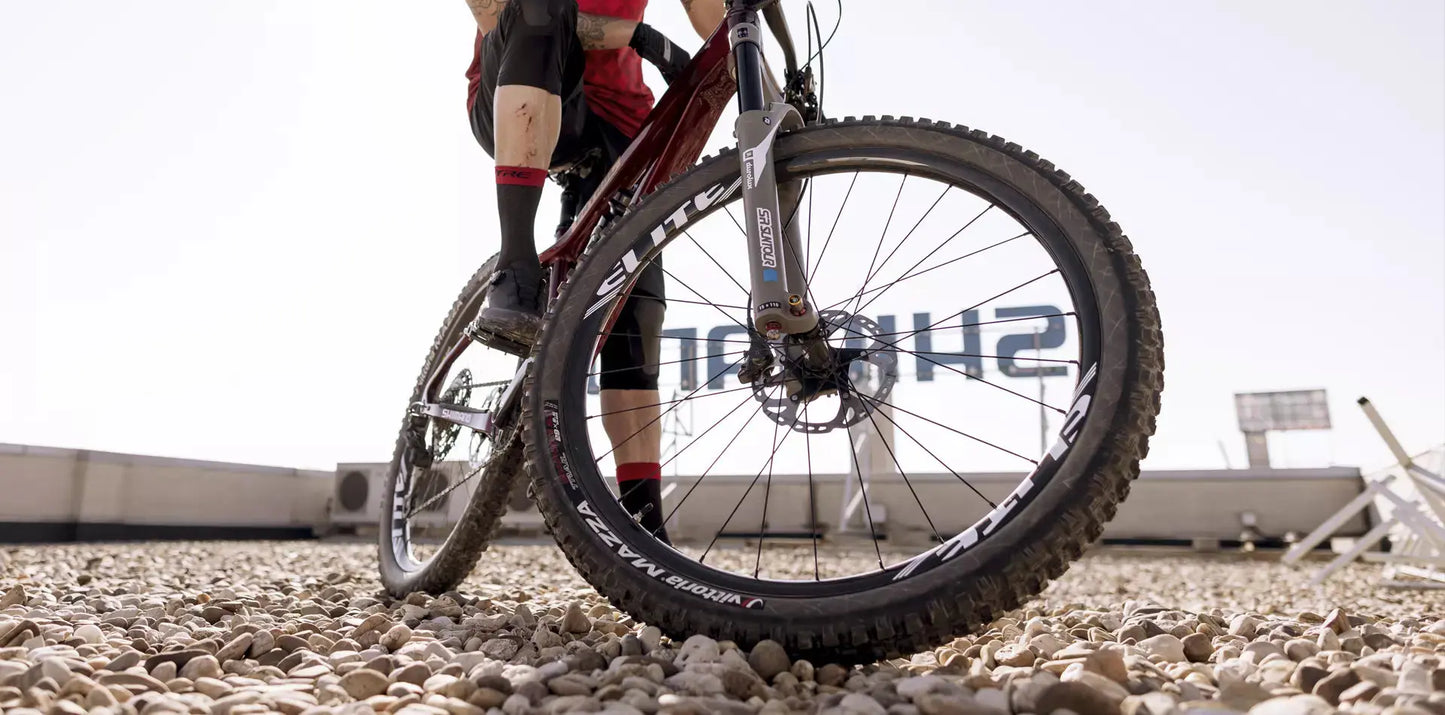 29er Pro 36 BASSONDERSE CYCLES