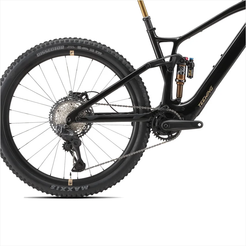 Teewing Turbo Force Pro| Avinox M2S Carbon eMTB BASSONDERSE CYCLES