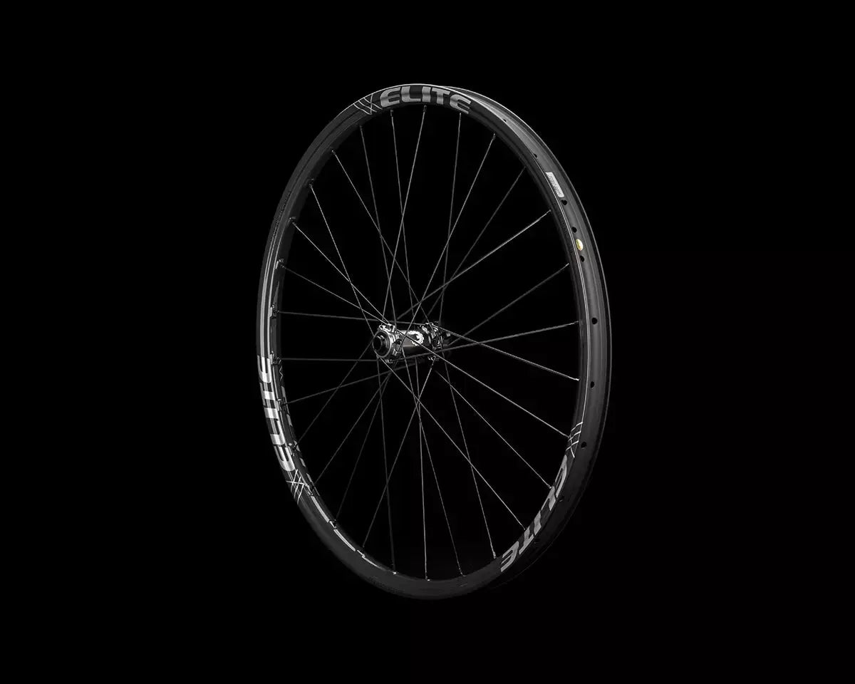 29er Gnar Trail PR BASSONDERSE CYCLES