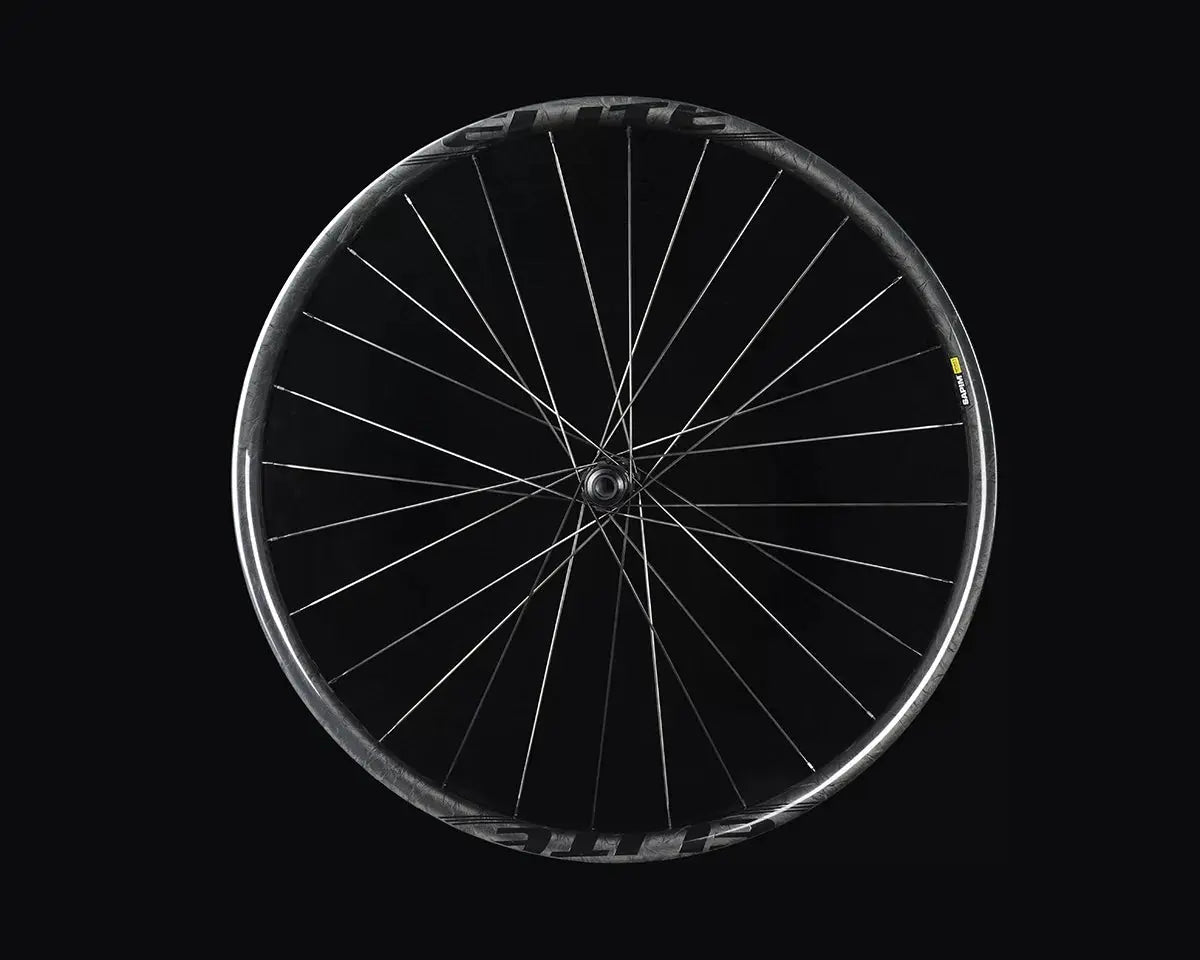 29er Pro 36 BASSONDERSE CYCLES