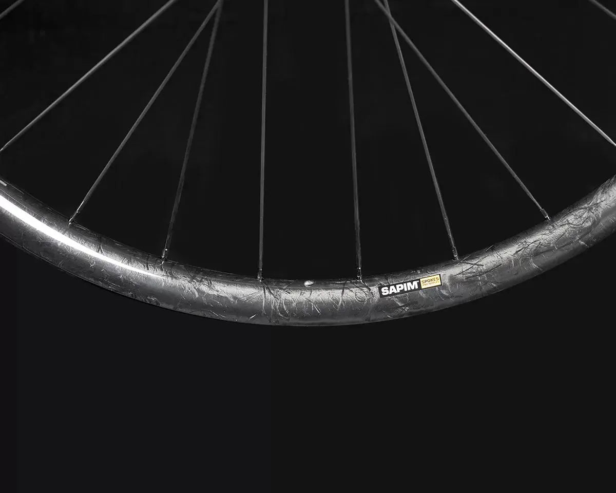 29er Pro 36 BASSONDERSE CYCLES