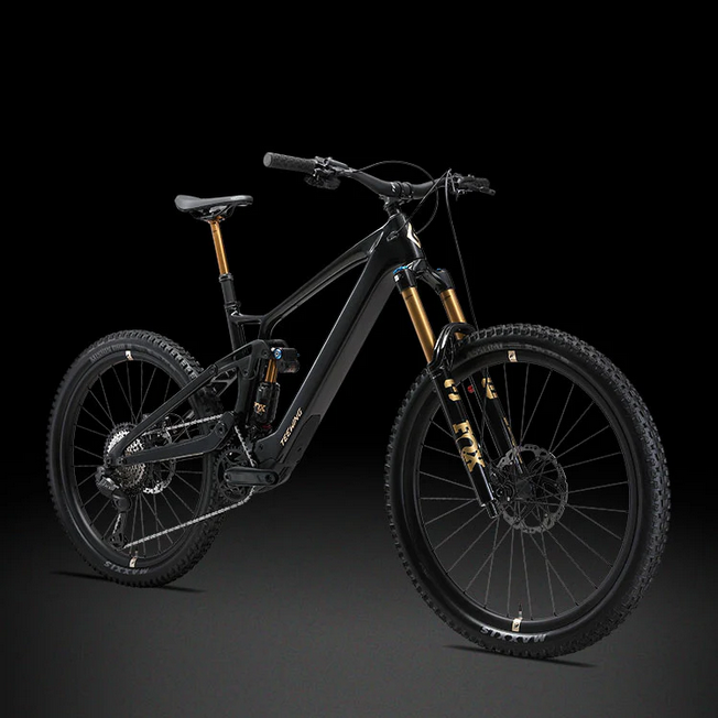 Teewing Flux One Pro Carbon Enduro E-MTB | Avinox M2S Power BASSONDERSE CYCLES