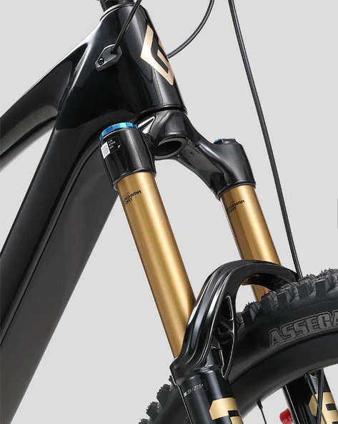 Teewing Flux One Pro Carbon Enduro E-MTB | Avinox M2S Power BASSONDERSE CYCLES