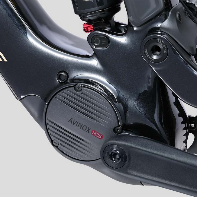 Teewing Flux One Pro Carbon Enduro E-MTB | Avinox M2S Power BASSONDERSE CYCLES