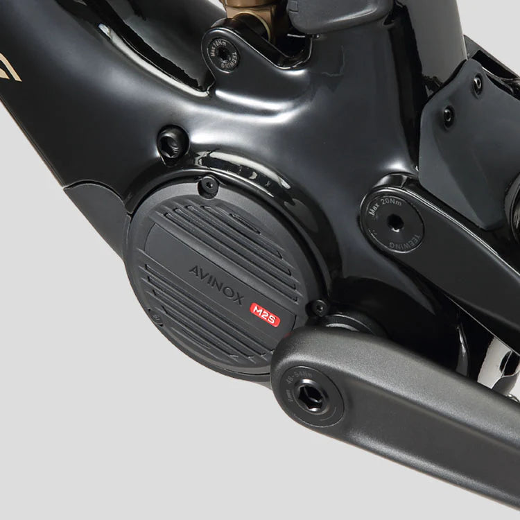 Teewing Turbo Force Pro| Avinox M2S Carbon eMTB BASSONDERSE CYCLES