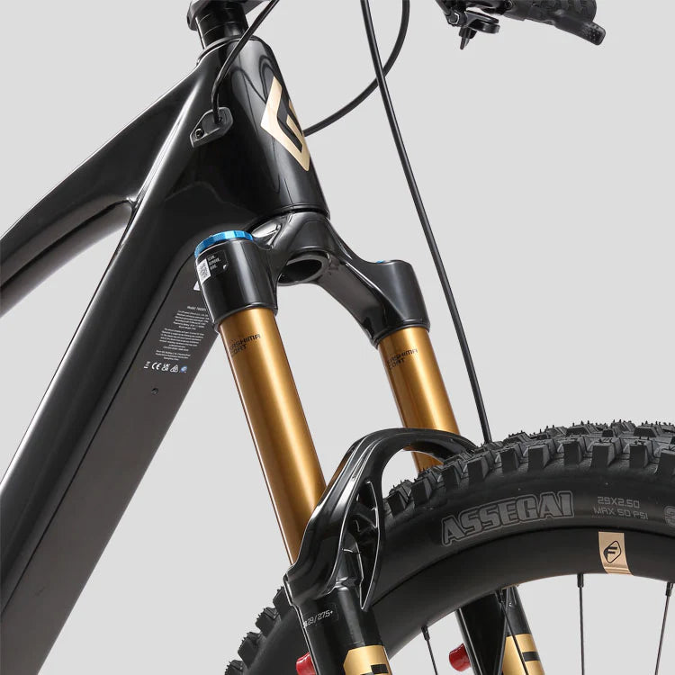 Teewing Turbo Force Pro| Avinox M2S Carbon eMTB BASSONDERSE CYCLES