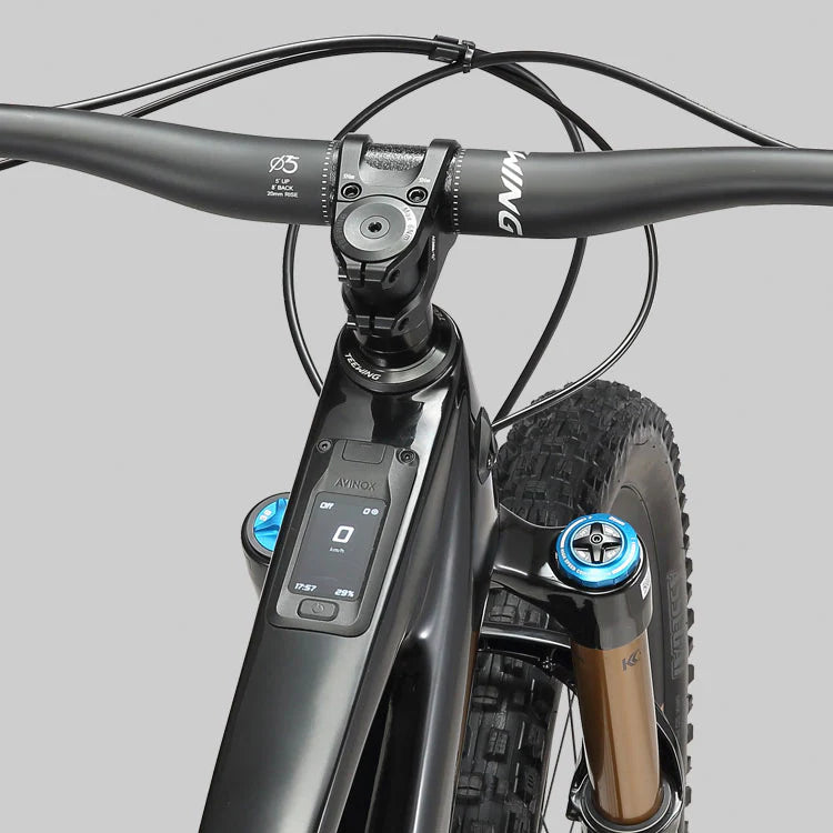 Teewing Turbo Force Pro| Avinox M2S Carbon eMTB BASSONDERSE CYCLES