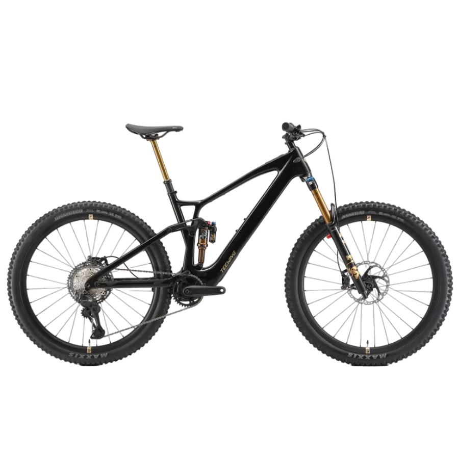 Teewing Turbo Force Pro | Avinox M2S Carbon eMTB BASSONDERSE CYCLES