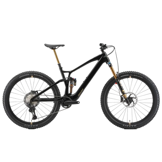 Teewing Turbo Force Pro | Avinox M2S Carbon eMTB BASSONDERSE CYCLES